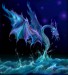 sea-dragon.jpg